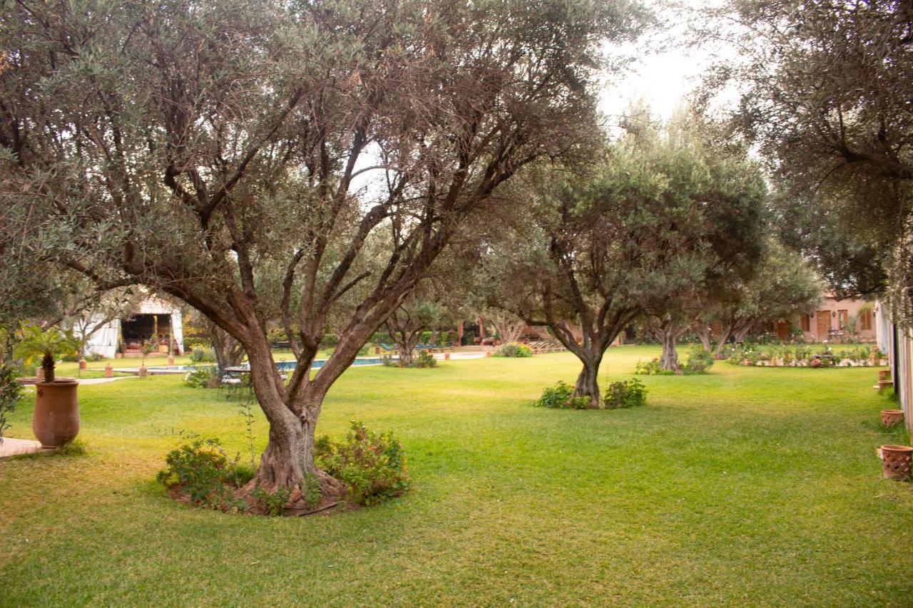Greenlife Marrakech Марракеш Экстерьер фото